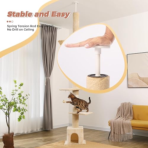 Meow Sir in Cat Tree Floor to Ceiling Cat Tree Tower for Small