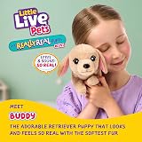 Little Live Pets Buddy Retriever Mini Puppy 20+ Sounds Basket Bed view 2