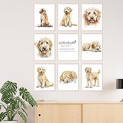 BigWig Prints Golden Doodle Wall Decor