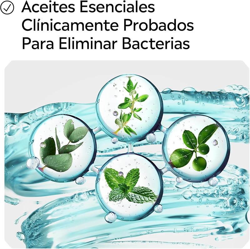 Mentol Sabor Suave (1 x 500 ml), enjuague bucal con flúor, colutorio encías con 24 horas de protección, enjuague bucal sin alcohol para un aliento fresco duradero