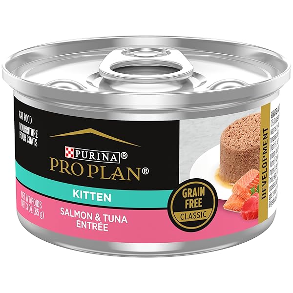 PURINA PRO PLAN GRAIN FREE, PATE, HIGH PROTEIN WET KITTEN FOOD, DEVELOPMENT SALMON & TUNA ENTREE – (PACK OF 24) 3 OZ. PULL-TOP CANS