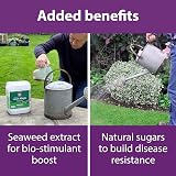 Flower Power Lawn Magic 5L - Double Action Grass Feed for Strong Roots view 6