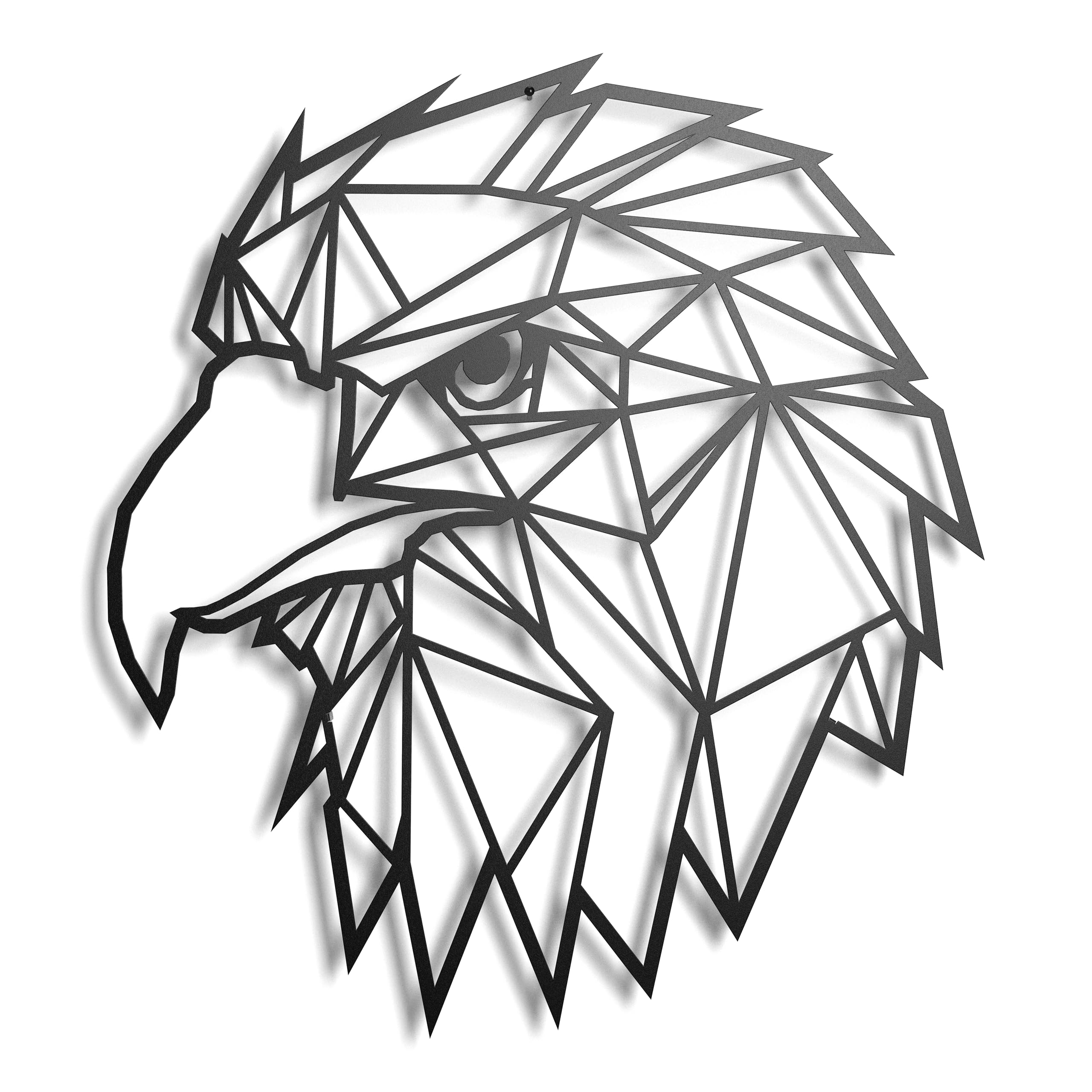 Metal Decoration Floating Wall Sculpture with Shades Steel (43 x 31 cm, Eagle)