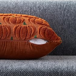 DFXSZ Fall Pillow Covers 18x18 Set of 2 Fall