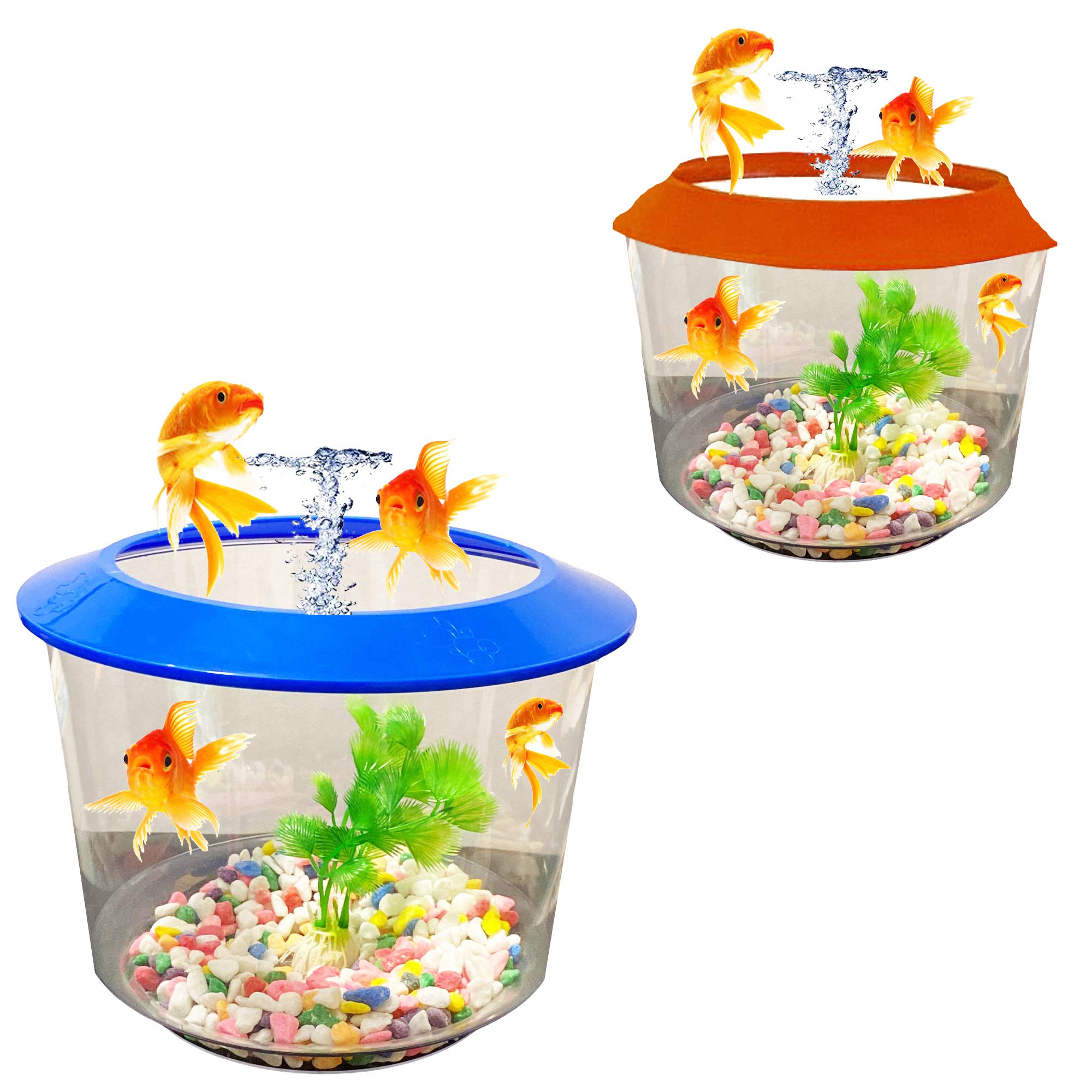 Pet Living Goldfish Bowl Strater Set Gold Fish Bowl with Ornamental Plant Fish Bowl (ORANGE)