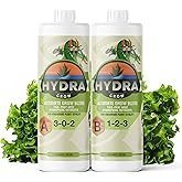 HydraGrow A & B Hydroponic Nutrients - Grow Big Vegetables & Boost Vegetative Growth in All Plants, 2 Part Grow Base Liquid P