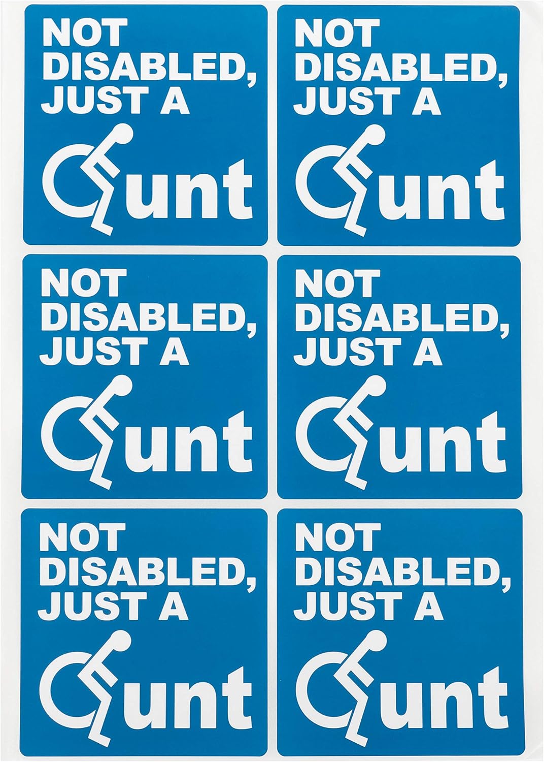 DM Novelties Not Disabled Just A CUNT Bad Parking Space Bay Bumper Sticker (6 Stickers), Blue - Image 3