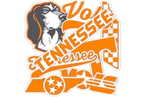 Desert Cactus University of Tennessee Sticker UT Knoxville Volunteers Vols Sticker Vinyl Decals Laptop Water Bottle Car Scrapbook Sheet T2 (Type 2-2)