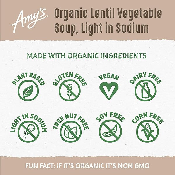 AMY’S LENTIL VEGETABLE LOW SODIUM ORGANIC SOUP, 14.5 OUNCE