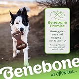 Benebone Dental Dog Chew Toy Real Bacon Flavor Medium Dogs 60 lb USA view 6