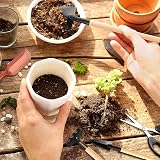 Holzsammlung 14Pcs Mini Garden Tools Set Bonsai & Succulent Kit view 3