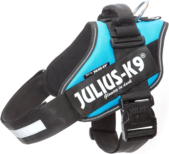 Julius-K9, 16IDC-AM-1, IDC Powerharness, dog harness, Size: 1, Aquamarine: Amazon.co.uk: Pet ...