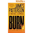 Burn (Michael Bennett, Book 7)