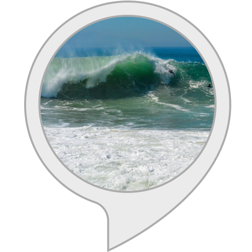 Amazon Com Newport Beach Facts Alexa Skills