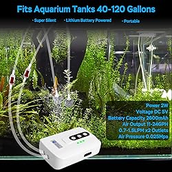 AquaMiracle Lithium Battery Powered Portable Dual