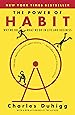 The Power of Habit: Why We Do What We Do in Life and Business