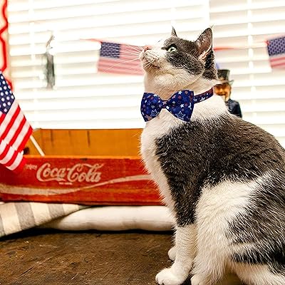 female cat accessories