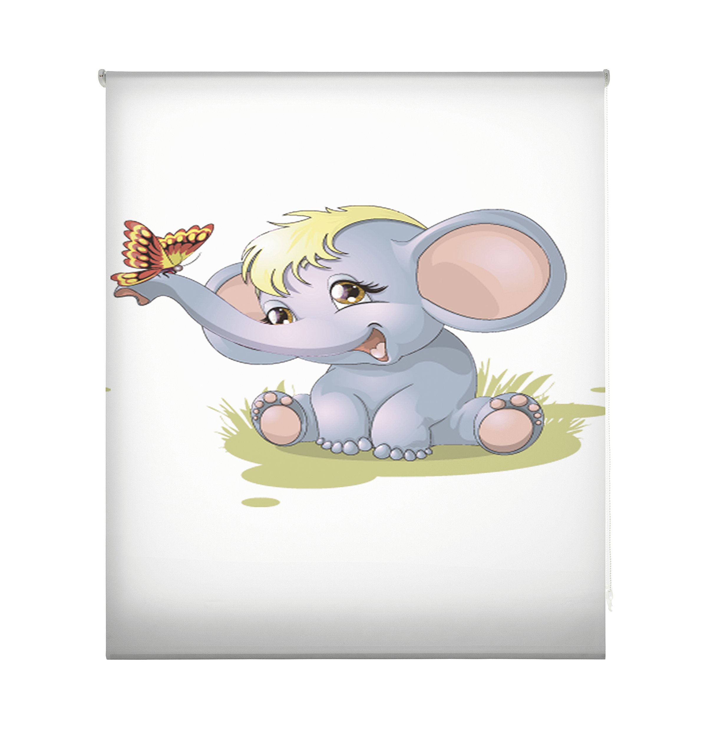 blindecor w-i-85017 – Roller Translucido Digital Print, 110 x 180 cm