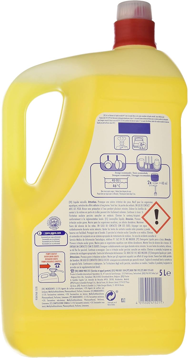 Fairy Dish Soap 2 x 5000 ml BigaMart