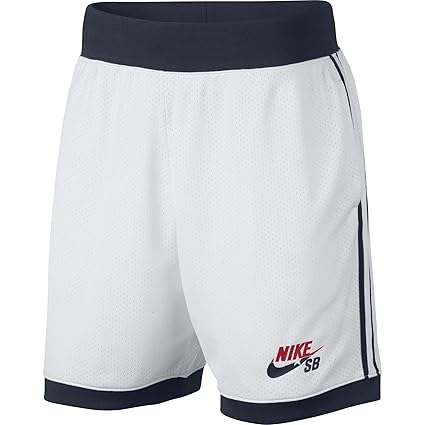 nike sb court shorts