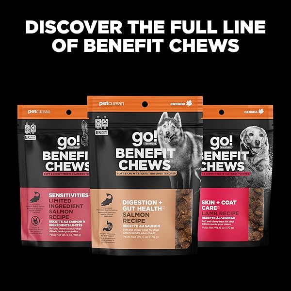 GO! SOLUTIONS DIGESTION + GUT HEALTH SALMON SOFT & CHEWY DOG TREATS, CHICKEN-FREE, HEALTHY SNACKS FOR DIGESTIVE WELLNESS, GREAT FOR TRAINING, FOR PUPPIES, ADULTS & SENIORS, 6 OZ BAG