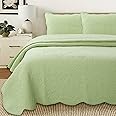 Cozy Line Home Fashions Victorian Medallion Solid Green Embossed 100% Cotton Bedding Quilt Set,Coverlet,for Bedroom/Guest Room (Blantyre - Green, Twin - 2 Piece)