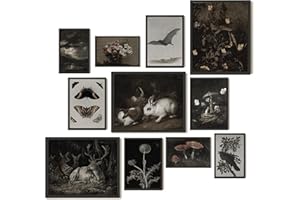 97 Decor Dark Cottagecore Decor - Dark Academia Decor For Bedroom, Dark Posters For Room Aesthetic, Cottage Core Whimsical Wall Art, Gothic Prints Vintage Woodland Decor For Home (8x10 Unframed)