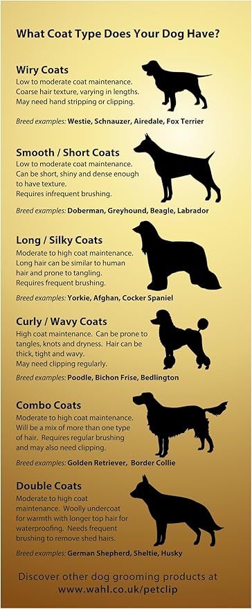 wahl rex high performance pet clipper