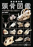 完全保存版 頭骨図鑑