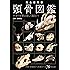 完全保存版 頭骨図鑑