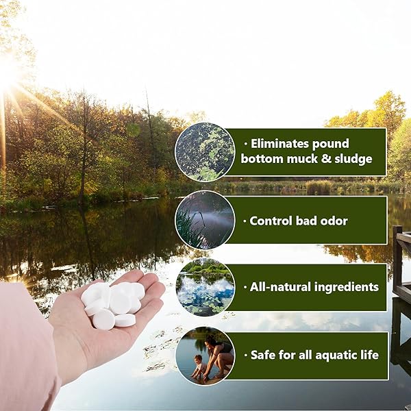 MUCK REDUCER NATURAL POND SLUDGE REMOVER 10 LB (20 SCOOPS) POND TABLETS TREATS 2.5 ACRES MUCK REMOVAL FOR PONDS & LAKES, WATER GARDEN,FOUNTAIN AWAY ODOR CONTROL,SAFE FOR FISH,AQUATIC LIFE,WILDLIFE,PET
