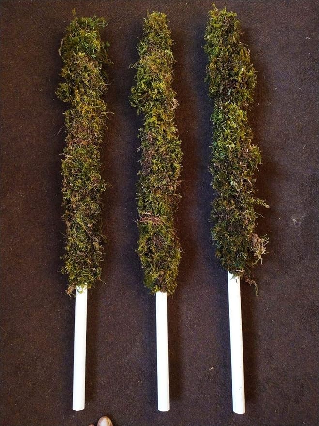 7 Hill's Green Moss Sticks/Moss Poles for Plants 3 feet (3 Pieces