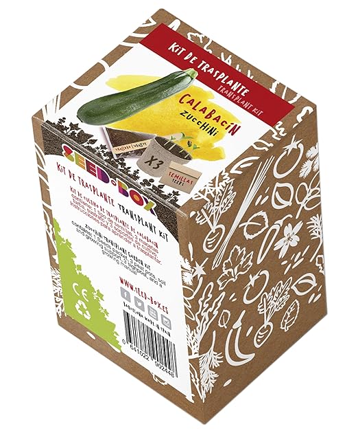 SeedBox KTVHCC Huerto Urbano Kit trasplante de calabacín, 0.7x0 ...