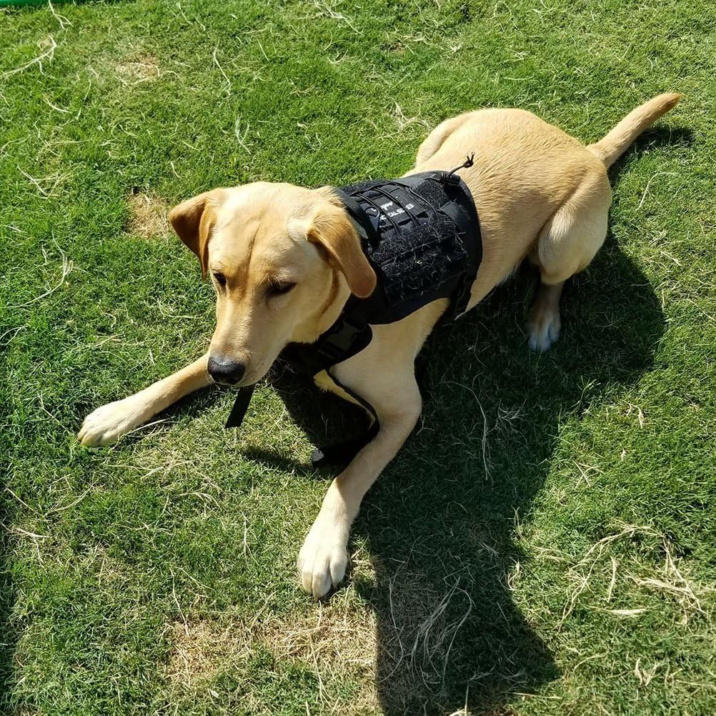 Odepro Tactical Service Dog Vest Military Patrol Dog Harness 1000d Water-Resistant Nylon Adjustable Dog Vest Harness with Handles