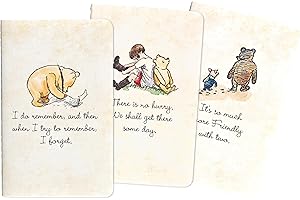 Winnie-the-Pooh Jotter Notebooks (set of 3)
