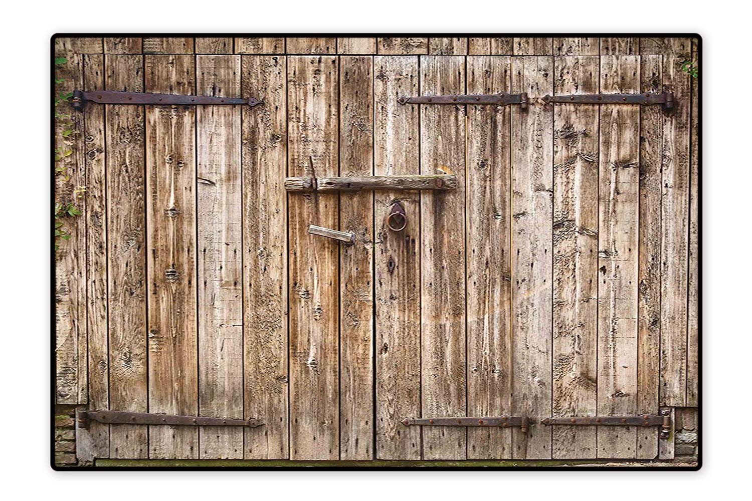 Amazon Com Printed Floor Rugs Old Oak Closed Garage Door