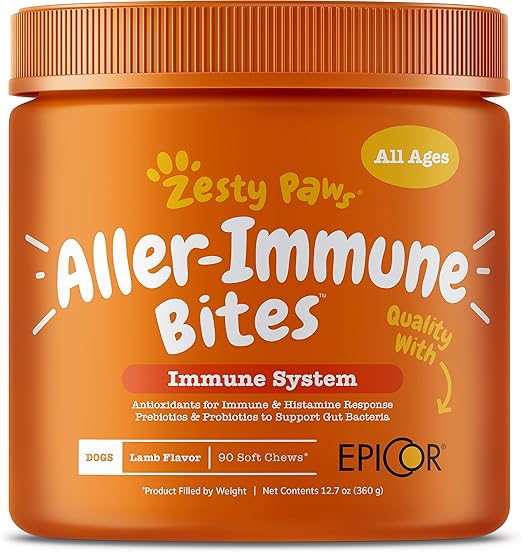 dwarf monkey for sale