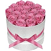 Prifroti 17 Pink Flowers in Glitter Box, Birthday Gifts for Women, Preserved Flowers, Mothers Day Roses Gift for Mom
