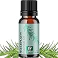 Pure Rosemary Essential Oil for Aromatherapy - Undiluted Rosemary Oil for Hair Skin and Nails - Rosemary Essential Oil for Diffusers Plus Hair Oil for Enhanced Shine Cleansing and Dry Scalp Treatment