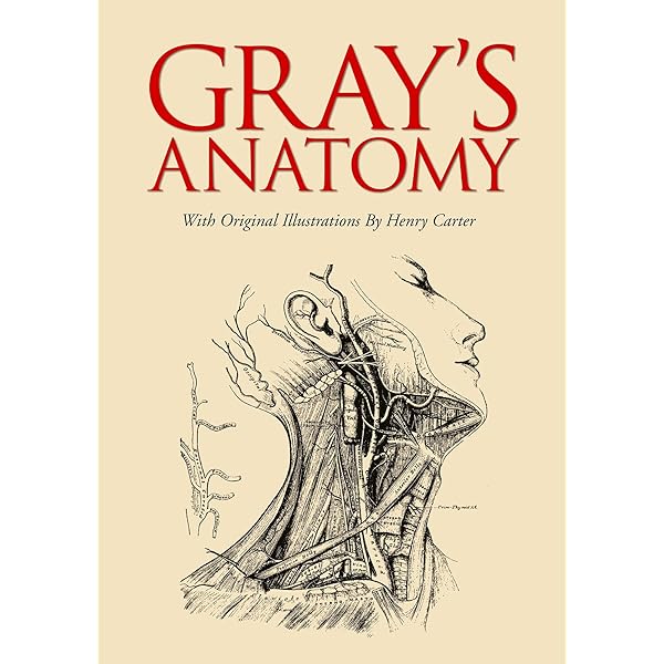 Gray's Anatomy: Anatomy Descriptive and Surgical (Leather-bound