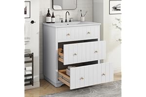 LostCat 30inch Bathroom Vanity with Sink,Solid Wood Bathroom Vanity with 2 Drawers,Modern Design Bath Vanity for Small Place(White)