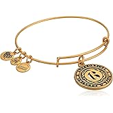Alex and Ani Number 6 Charm Bangle Bracelet | Healing, Supportive, and Love