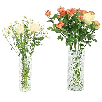 Elegant Glass Cylinder Vases Set of for Home or Morocco Ubuy