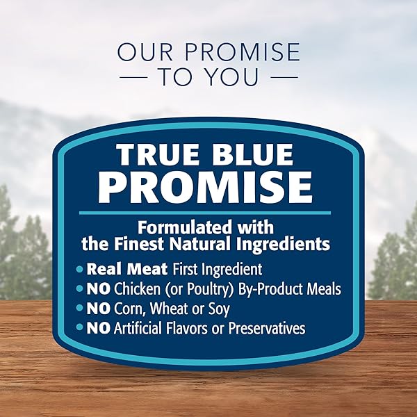 BLUE BUFFALO WILDERNESS HIGH PROTEIN, NATURAL ADULT PATE WET CAT FOOD VARIETY PACK, CHICKEN, SALMON, DUCK 3-OZ CANS (12 COUNT- 4 OF EACH FLAVOR)
