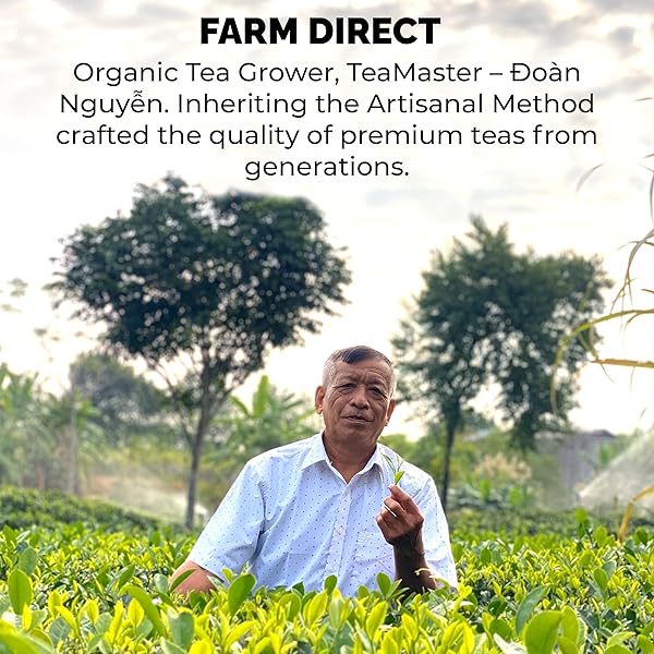 SACHS TEA 1773 SNOW SHAN BLACK TEA – CRAFTED SMALL BATCH – MALTY AND ROASTED FRUIT TASTE – VIETNAMESE HERITAGE TEA (3.5 OZ FRESH TEA VACUUM-SEALED PACK)