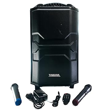 speaker audio control 15 inch