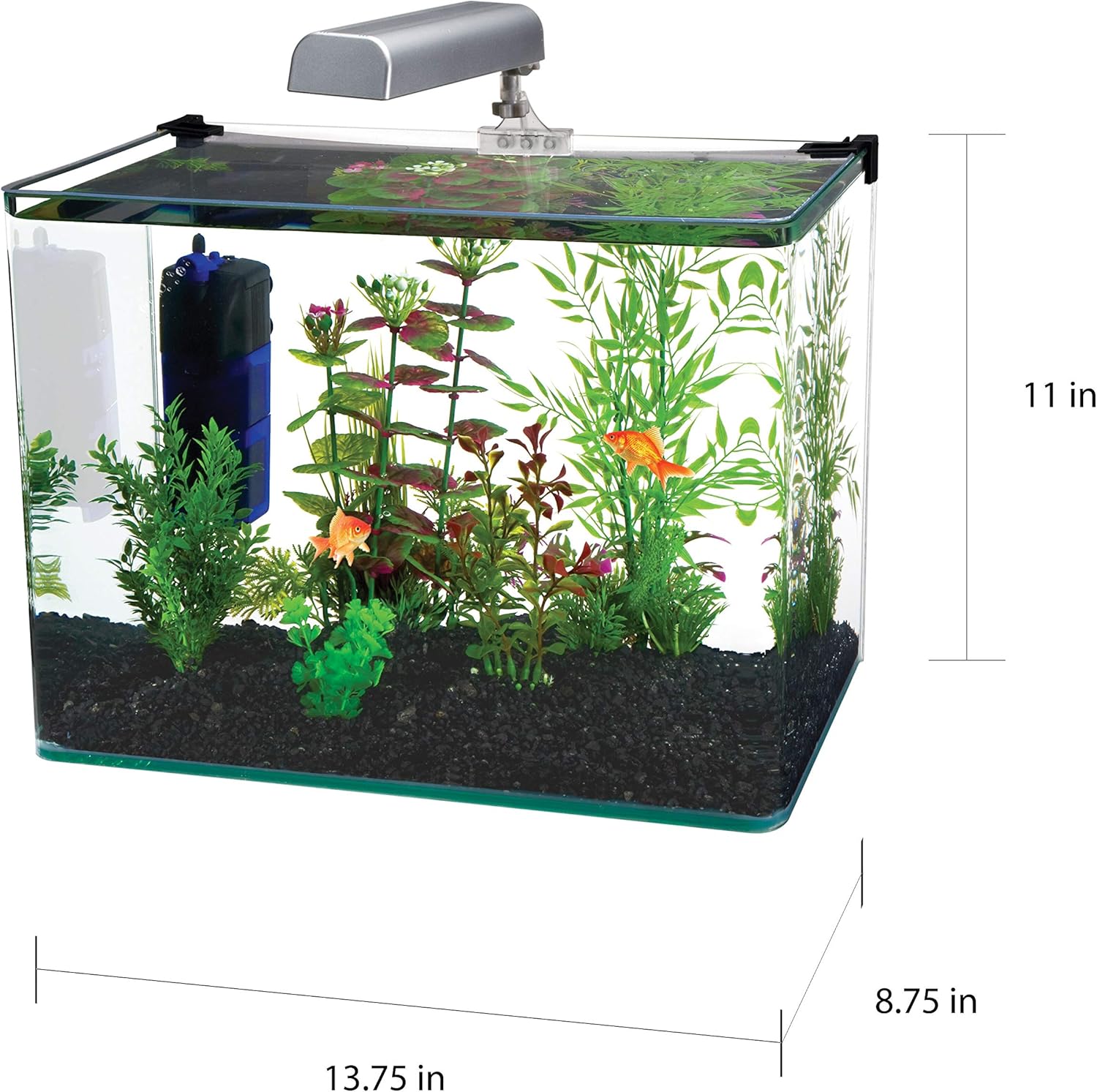 corner fish aquarium