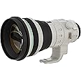 Canon EF 400mm f/4 DO is II USM Lens