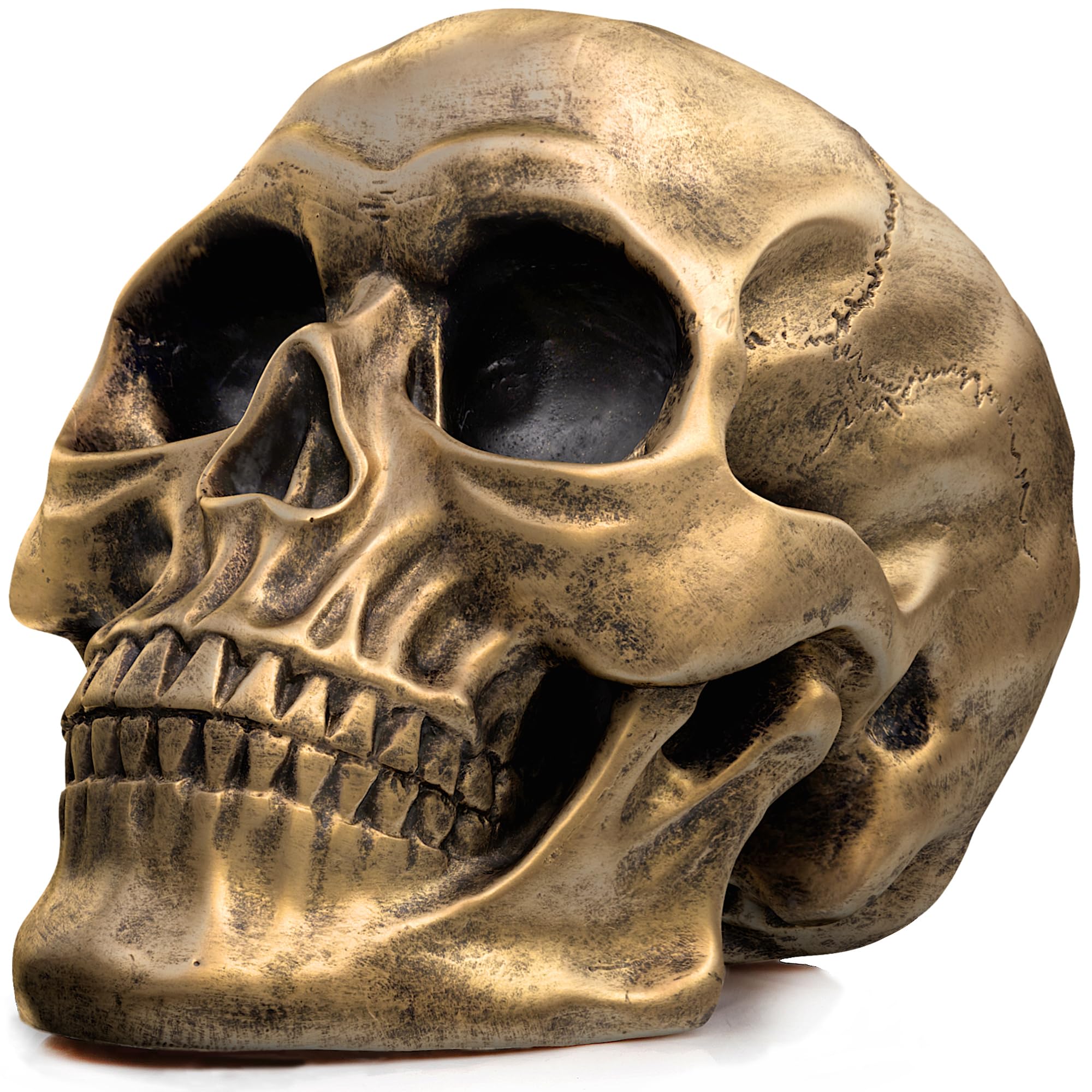Photo 1 of READAEER Resin Skull, Human Head Model for Home Decoration, Halloween Statue, Skull Model for Bookshelf and Desktop (Bronze)