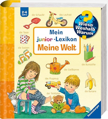 Download Wieso? Weshalb? Warum?: Mein Junior - Lexikon: Meine Welt PDF